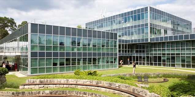 INSEAD